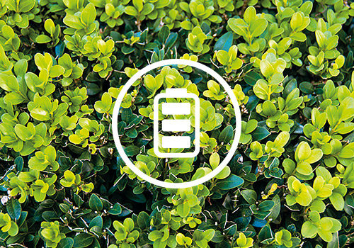 bush_battery