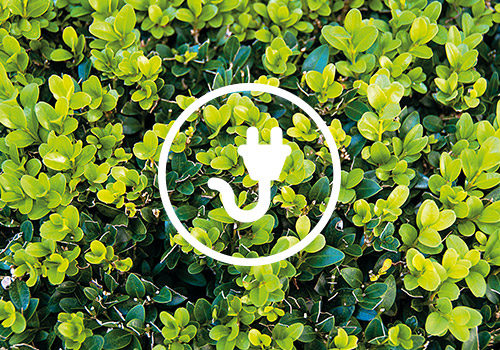 bush_electric