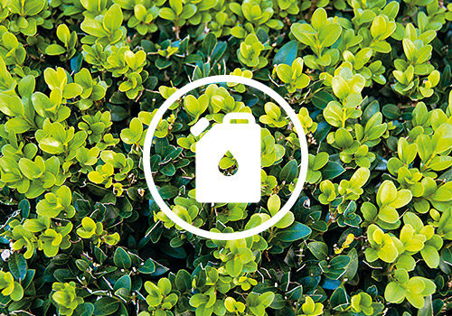 bush_petrol