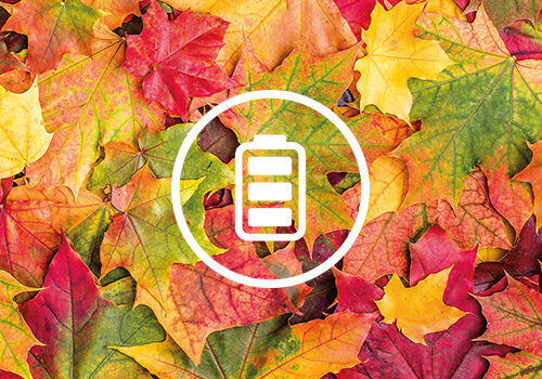 leaves_battery