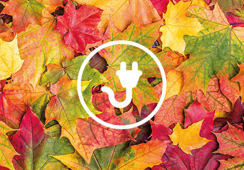 leaves_electric