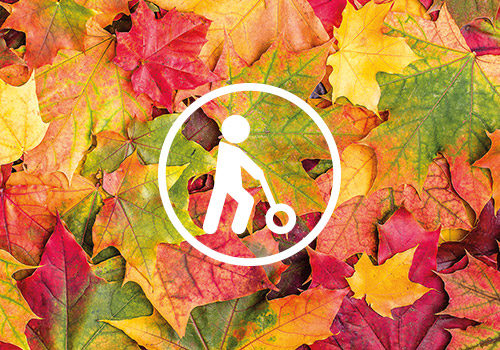 leaves_push